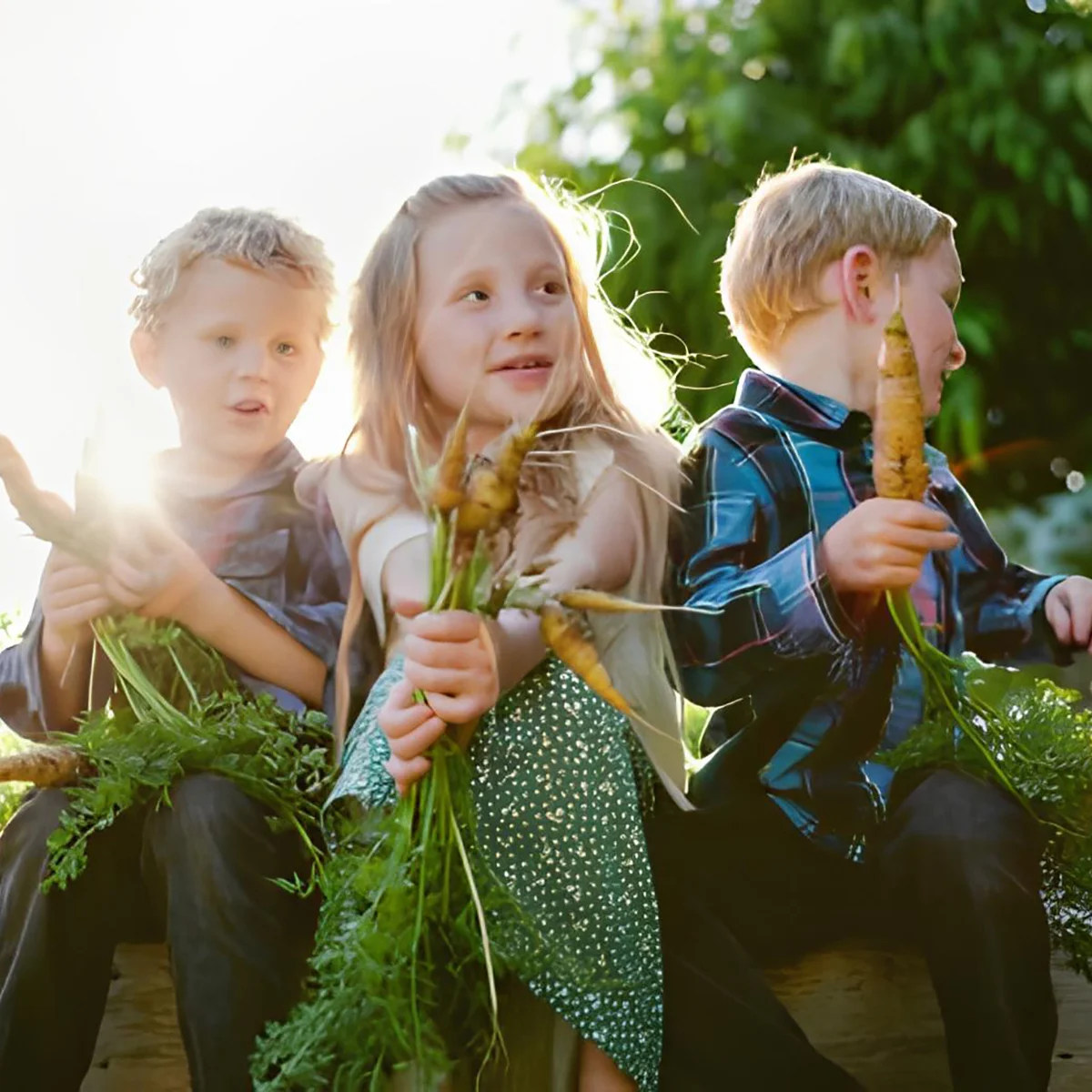 Children with carrots harvested from the garden as part of the Sunshine Mini School sustainability program