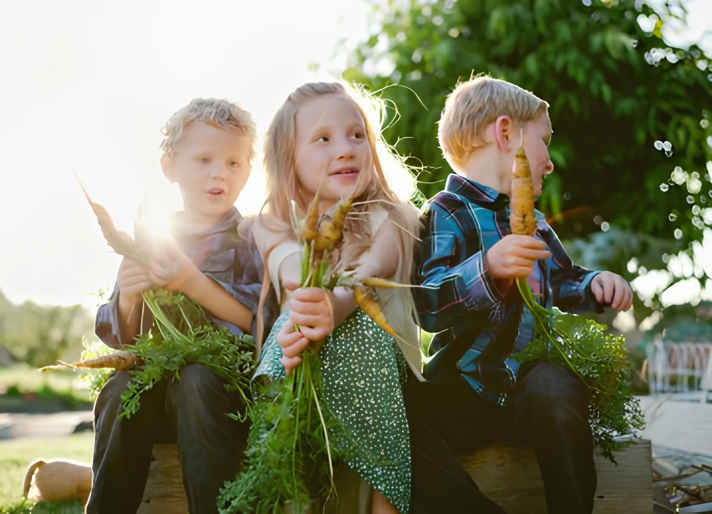 Children showing carrots from the veggie patch in the sustainability program at our Tingalpa childcare centre